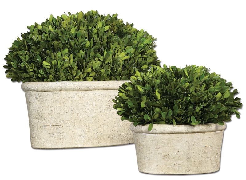 Oval Domes Preserved Boxwood, Set of 2, Image 1