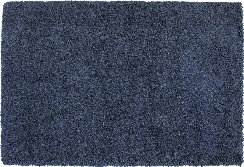 Comfort Shag Rug in Blue, 5 x 8, Image 1