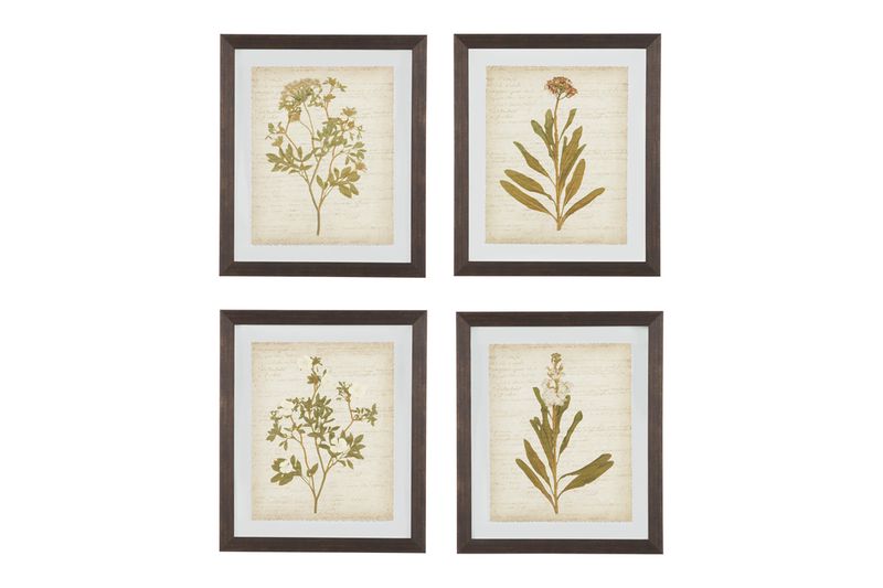 Dyani Wall Art, Set of 4 | Wall Art | Accents