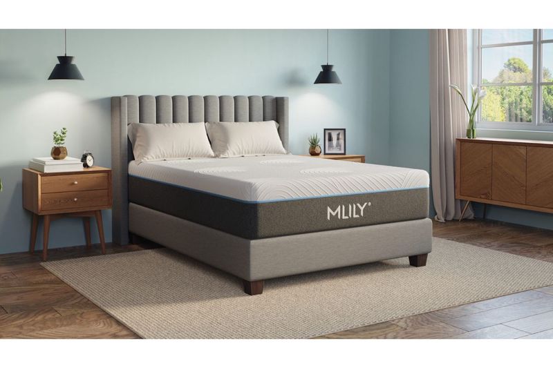 mlily vitality plush queen mattress