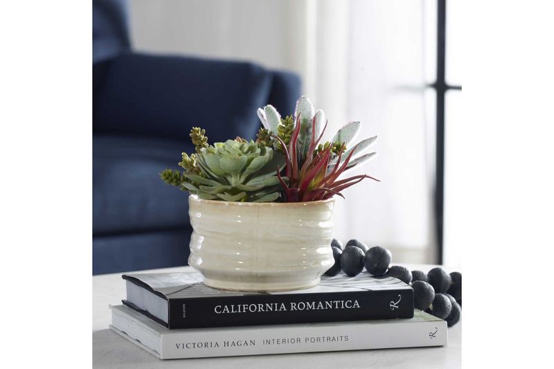 Mesa Succulent Plant, Styled