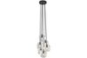 Sybil Pendant Light in Clear/Black, Image 1