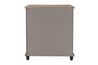 Aurora 2 Door Accent Chest in Gray, Image 5