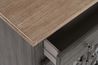 Aurora 2 Door Accent Chest in Gray, Image 6