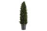 Cypress Cone Topiary