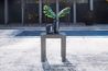 Amora Patio Table, Styled