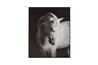 Archerwick Wall Art, 