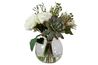 Belmonte Plant, 