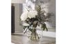 Belmonte Plant, Styled