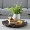 Boston Fern Plant, Styled