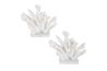Charbel Bookend Or Box, Front