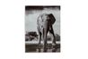 Glinyard Wall Art, 