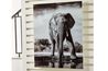 Glinyard Wall Art, Styled