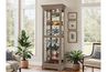 Martindale Curio Cabinet in Gray