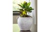 Meadie Vase Or Filler, Styled