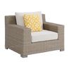 Ollie Outdoor Accent Chair, Angle