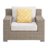 Ollie Outdoor Accent Chair, Front