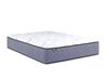 Sherwood Quantum Edge Plush Ma, 