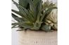 Seaside Succulents Plant, Side