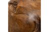 Sola Outdoor End Table, 