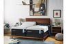 Tempur-Pedic