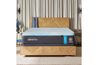 Tempur-Pedic