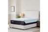Tempur Pedic Tempur Pro Adapt , Styled