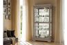 Tyler Curio Cabinet in Gray