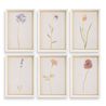 Wild Flourish Wall Art, Front
