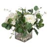 Rosewood Garden Plant, 