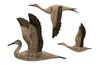 Reeds Migration Wood Wall Decor, Set of 3, Image 1